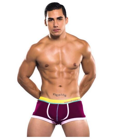 Boxer Andrew Christian Show-It Retro Pop Sonic Bordô