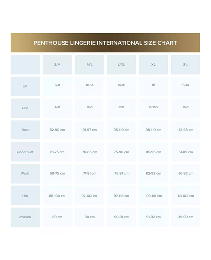 Penthouse Lingerie Size Chart